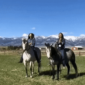 Просто гифки, всякие и&nbsp;разные