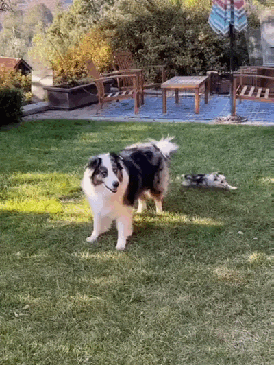 Просто гифки, всякие и&nbsp;разные