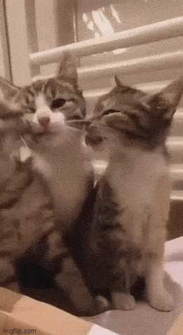 Просто гифки, всякие и&nbsp;разные