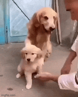 Просто гифки, всякие и&nbsp;разные