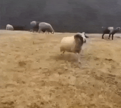 Просто гифки, всякие и&nbsp;разные