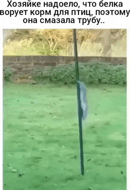 Просто гифки, всякие и&nbsp;разные