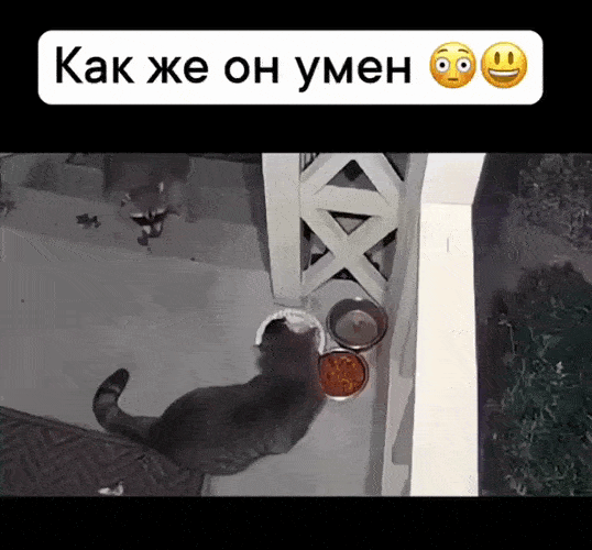 Просто гифки, всякие и&nbsp;разные