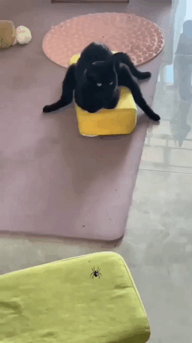 Просто гифки, всякие и&nbsp;разные