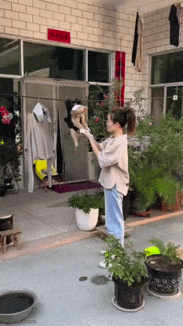 Просто гифки, всякие и&nbsp;разные