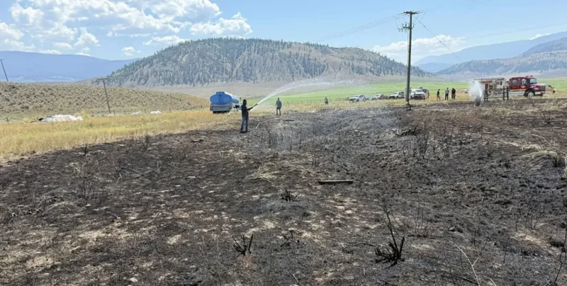 В Канаде рыба, упавшая с неба, обесточила село и вызвала пожар