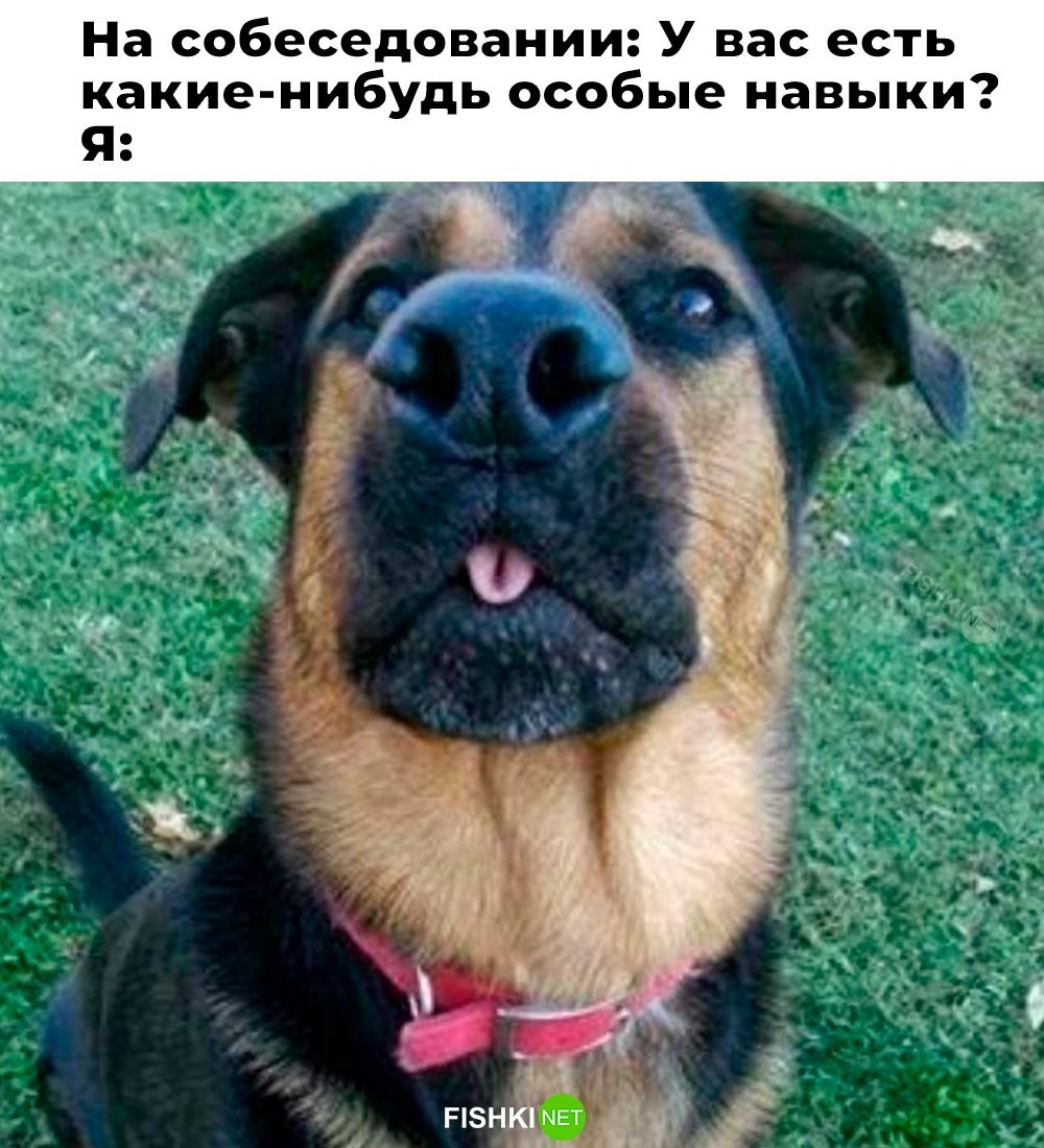 Не ищите здесь смысл. Здесь в основном маразм
