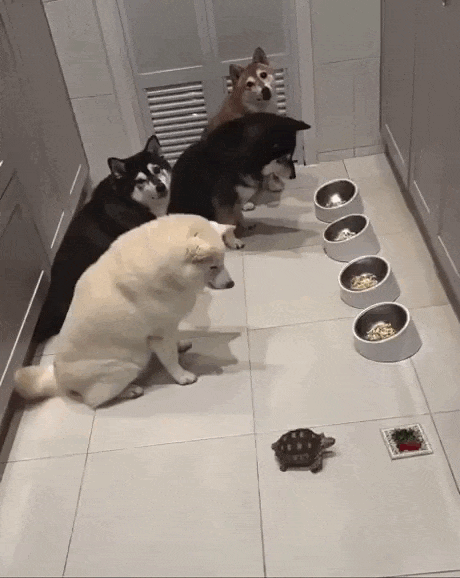 Просто гифки, всякие и&nbsp;разные