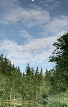 Просто гифки, всякие и&nbsp;разные