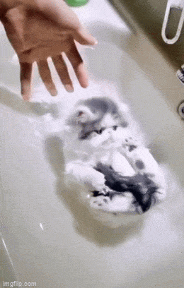 Просто гифки, всякие и&nbsp;разные