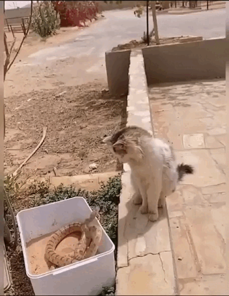 Просто гифки, всякие и&nbsp;разные