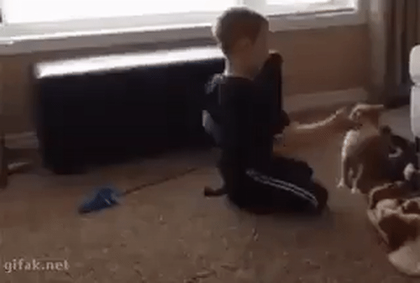 Просто гифки, всякие и&nbsp;разные