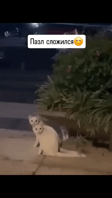 Просто гифки, всякие и&nbsp;разные