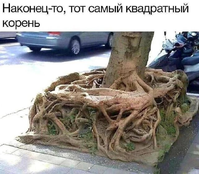 Скрины из соцсетей