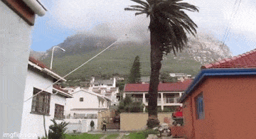 Просто гифки, всякие и&nbsp;разные