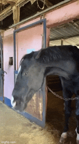 Когда хочешь понравиться той самой