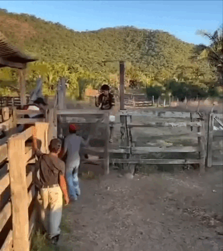 Просто гифки, всякие и&nbsp;разные