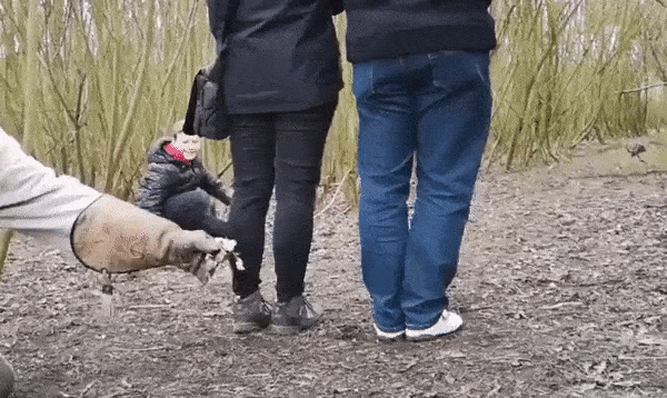 Просто гифки, всякие и&nbsp;разные