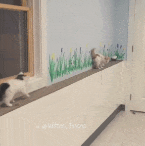 Просто гифки, всякие и&nbsp;разные