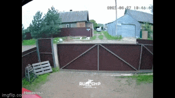 Просто гифки, всякие и&nbsp;разные