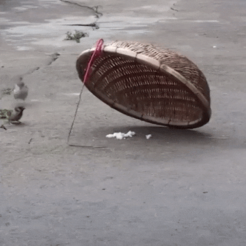 Просто гифки, всякие и&nbsp;разные