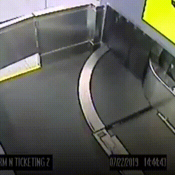 Просто гифки, всякие и&nbsp;разные