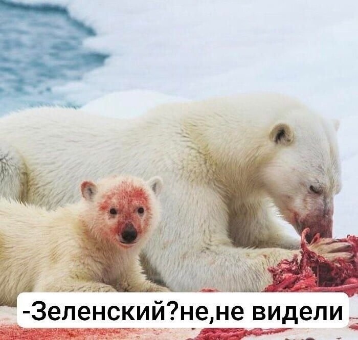 Может лишь не о политике