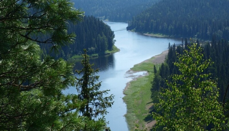 Леса Коми