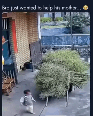Просто гифки, всякие и&nbsp;разные