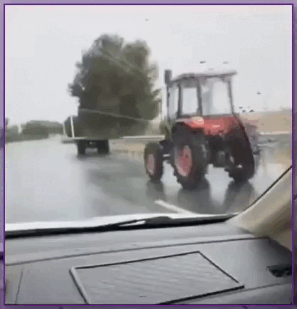 Просто гифки, всякие и&nbsp;разные