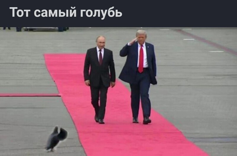 Об Аляске и не только