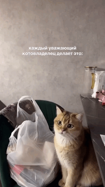 Просто гифки, всякие и разные Просто гифки, всякие и разные