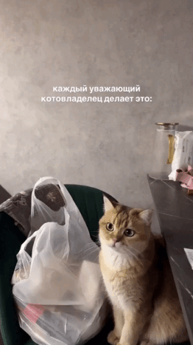 Просто гифки, всякие и&nbsp;разные