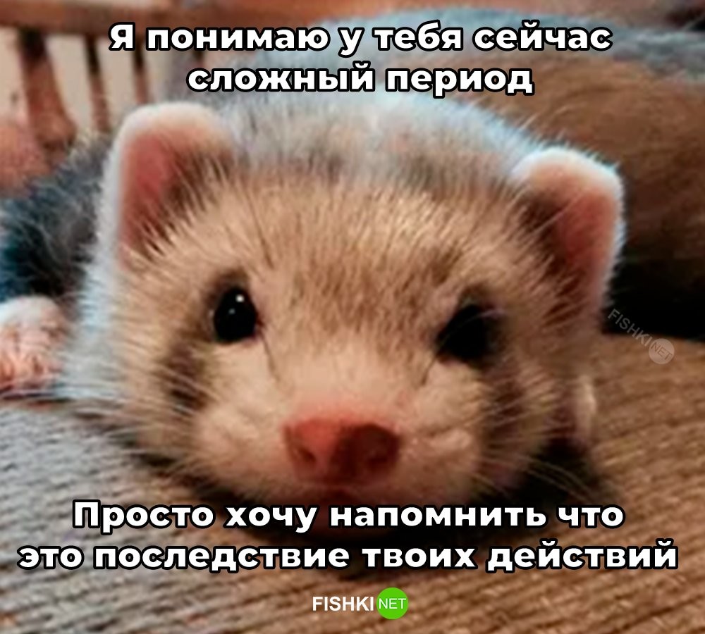 Скрины из соцсетей