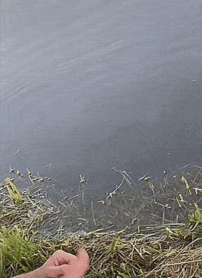 Просто гифки, всякие и&nbsp;разные