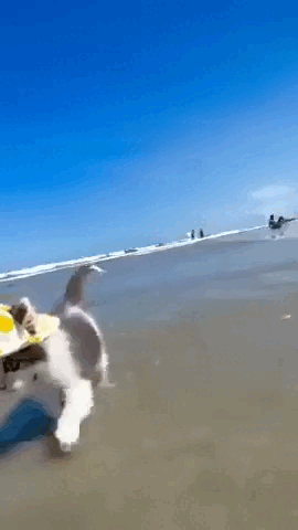 Просто гифки, всякие и&nbsp;разные