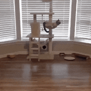 Просто гифки, всякие и&nbsp;разные