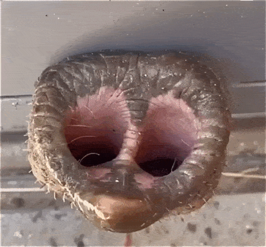 Просто гифки, всякие и&nbsp;разные