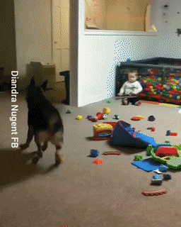 Просто гифки, всякие и&nbsp;разные