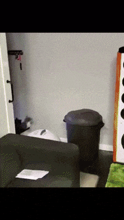 Просто гифки, всякие и&nbsp;разные