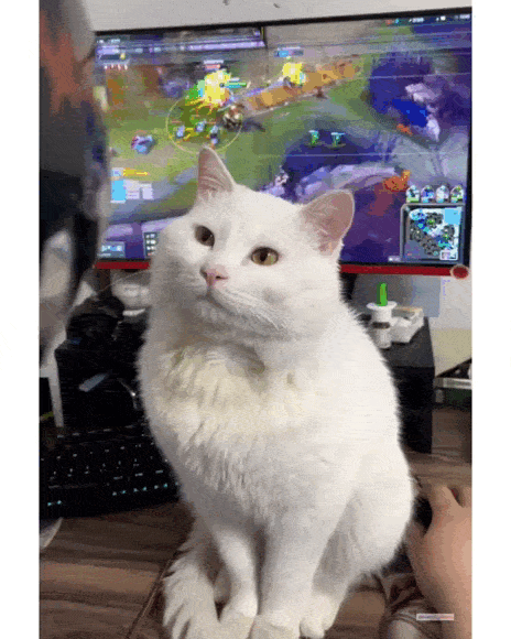 Просто гифки, всякие и&nbsp;разные