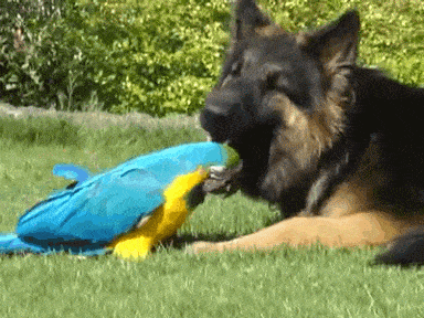 Просто гифки, всякие и&nbsp;разные