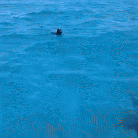 Просто гифки, всякие и&nbsp;разные