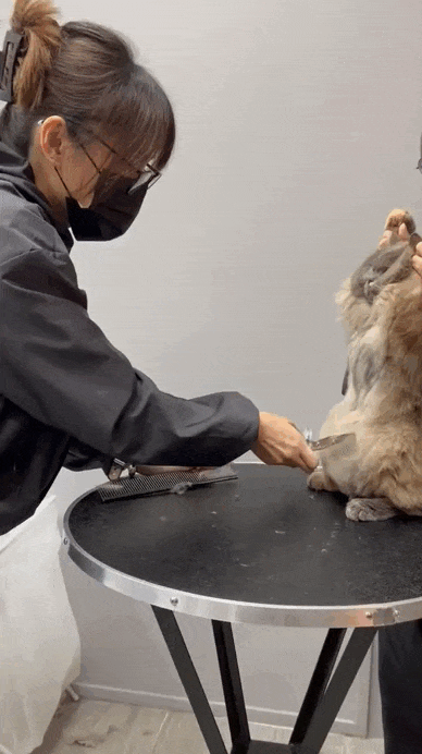 Просто гифки, всякие и&nbsp;разные