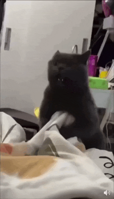 Просто гифки, всякие и&nbsp;разные