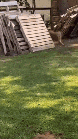 Просто гифки, всякие и&nbsp;разные