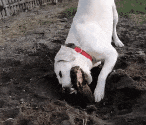 Просто гифки, всякие и&nbsp;разные