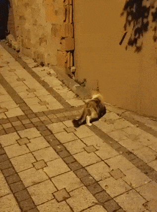 Просто гифки, всякие и&nbsp;разные