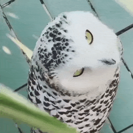 Просто гифки, всякие и&nbsp;разные