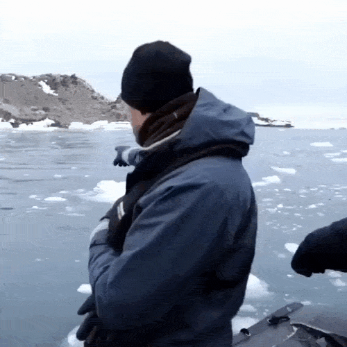 Просто гифки, всякие и&nbsp;разные